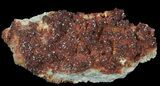 Ruby Red Vanadinite Crystal Plate - Morocco #64829-1